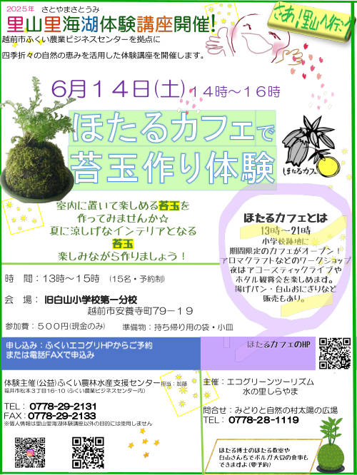 ほたるカフェで苔玉作り体験！